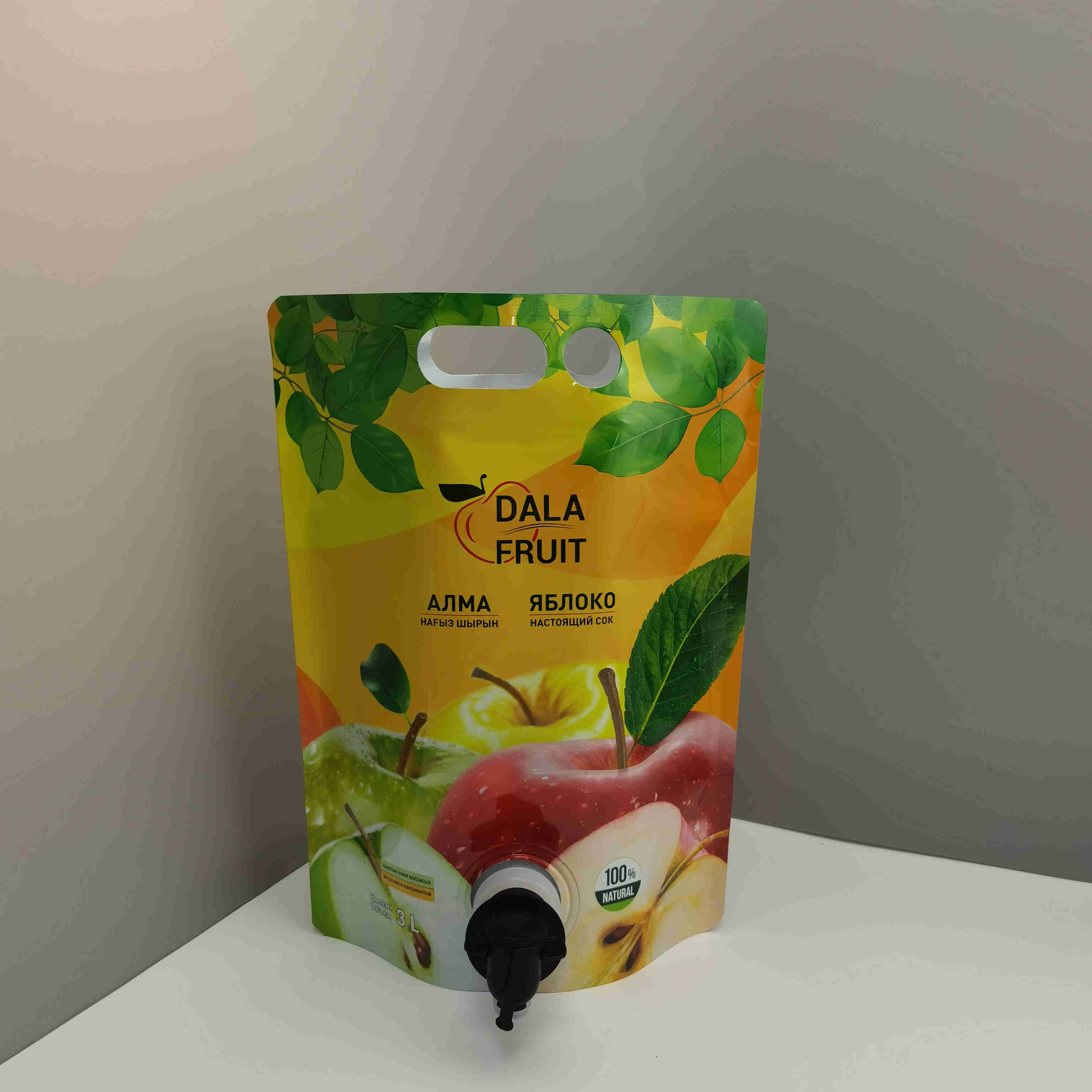 訂制 2L果汁等液體BIB吸嘴袋創(chuàng)意手提雙插底吸袋紅酒蝶閥盒中袋